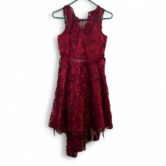 Rare Editions Big Girls Floral Soutache High-Low Social Dress, Size 14